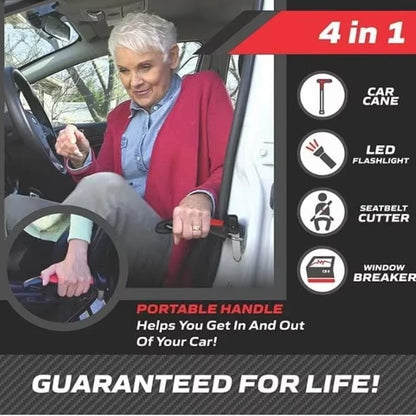 DriveGuardian Infinity Survival Protection System