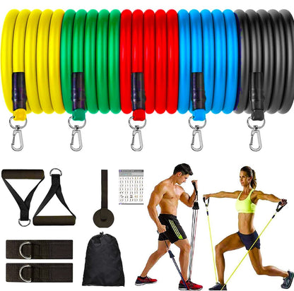 FlexoraX 11-Piece Multi-Resistance Home Fitness & Muscle Training System